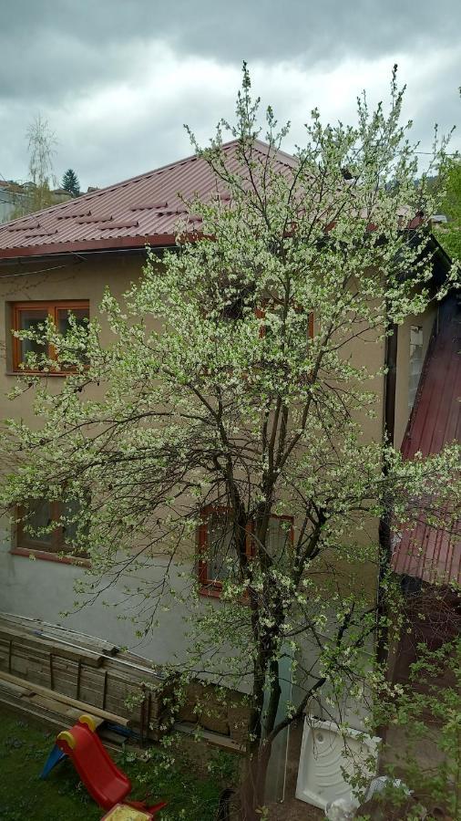 Mahala Apartments - Free Garage Sarajevo Luaran gambar
